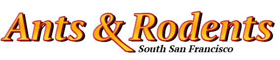 South San Francisco Ant Exterminator & Rodent Control Company Logo